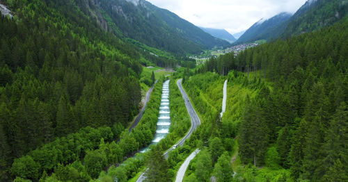 Panoramic view of road amidst trees in forest