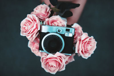 Close-up of camera on pink roses
