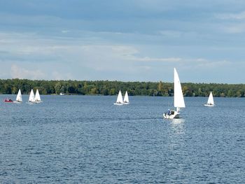 Sailboats sailing on sea against sky