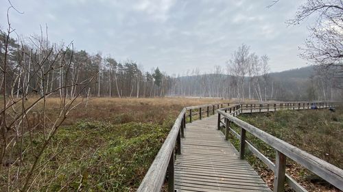 Wooden footbridge amidst trees against sky