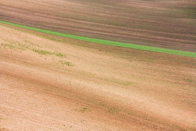 Full frame shot of agricultural field