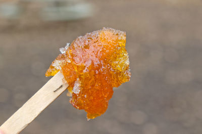 Close-up of orange leaf on wood