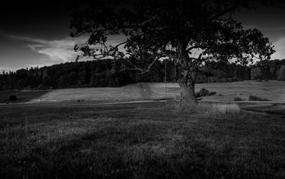 Trees on field against sky