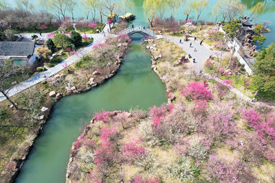 High angle view of river amidst trees