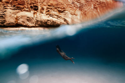 Jellyfish swimming in sea