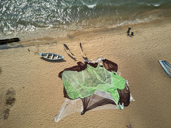 View of crab on beach