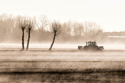 Countryside with fog
