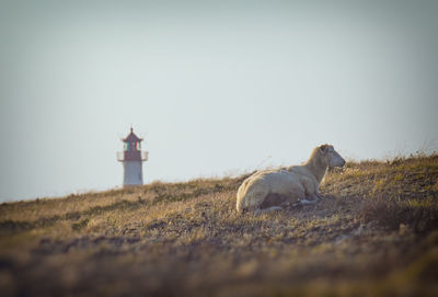 View of lighthouse on field against sky