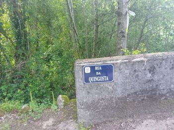 Close-up of information sign by trees in forest