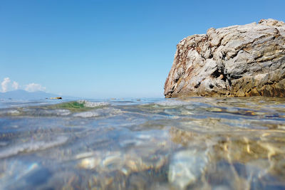 Seascape and underwater life view