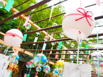 Close-up of balloons hanging on tree