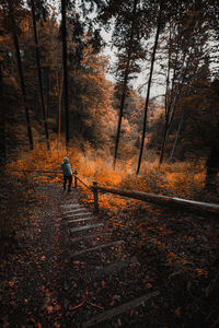 Man standing on steps in forest during autumn