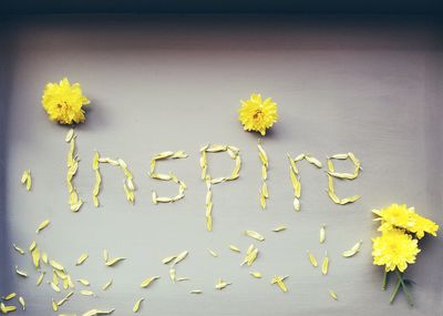 Close-up of yellow flowers on table