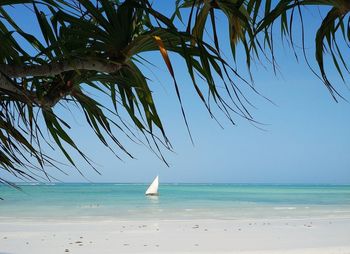 Scenic view of sea against blue sky