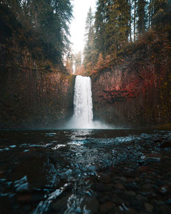 Scenic view of waterfall in forest