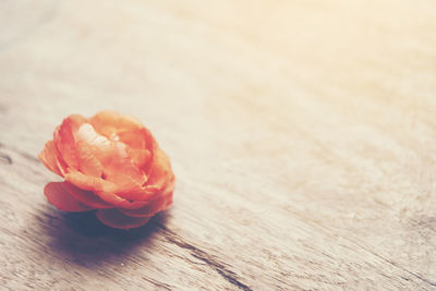 Close-up of orange rose on table