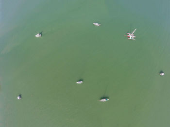 High angle view of people on beach