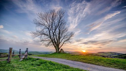 Scenic view of field against sky during sunset