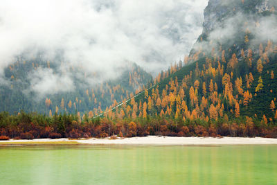 Scenic view of lake by trees against sky