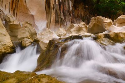 View of waterfall in forest