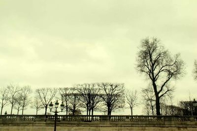 Bare trees on landscape against sky