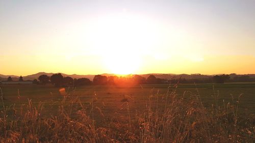 Scenic view of field against sky during sunset