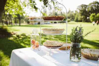 Tarts on rack against trees