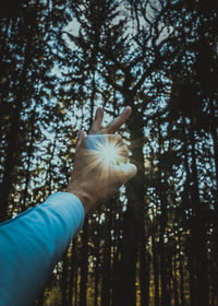 Close-up of hand holding tree in forest