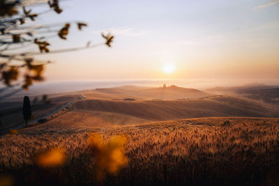 Scenic view of field against sky during sunset