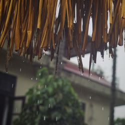 Low angle view of raindrops on roof
