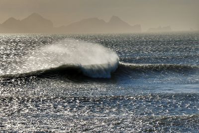 Waves swimming in sea against clear sky