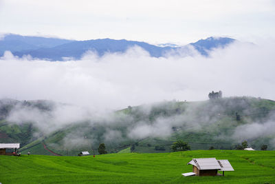 Scenic view of field against sky