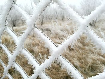 Full frame shot of white wall