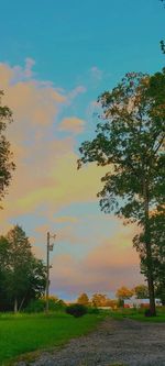 Scenic view of field against sky during sunset