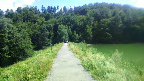 Walkway amidst trees against sky