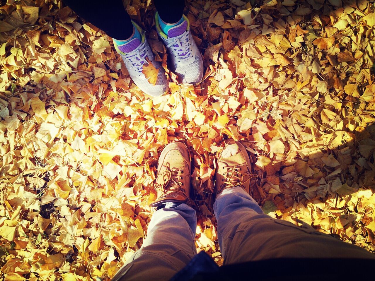 low section, person, shoe, personal perspective, standing, leaf, human foot, lifestyles, autumn, footwear, men, high angle view, leisure activity, leaves, change, unrecognizable person, jeans