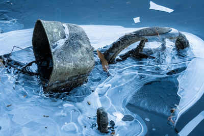 View of fish in frozen sea
