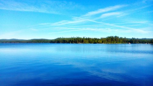 Reflection of trees in calm lake