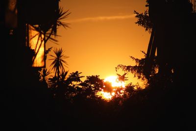 Low angle view of silhouette trees against sky during sunset