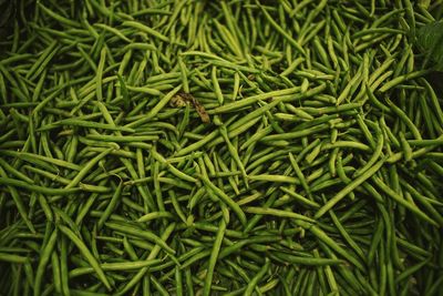 Full frame shot of green chili peppers