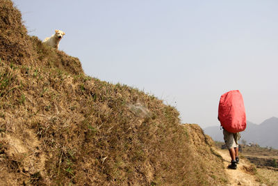 Rear view of man with red backpack hiking on hill against clear sky
