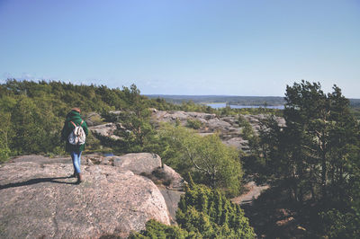 Rear view of woman hiking in forest