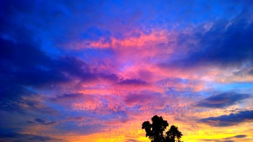Low angle view of silhouette trees against sky