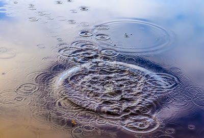 High angle view of bubbles in water