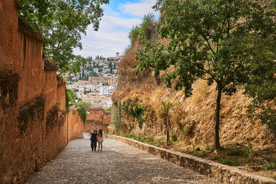 Rear view of people walking on sidewalk in city