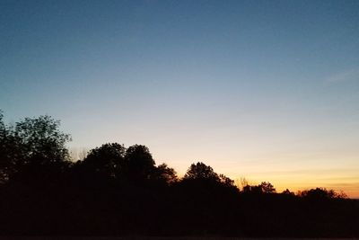 Silhouette trees against clear sky during sunset