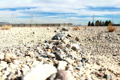 Surface level of stones on landscape