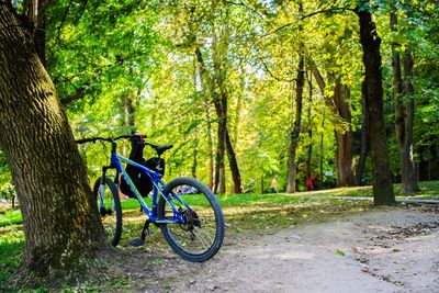 Bicycle parked by trees in forest