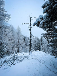 Snow covered land against sky