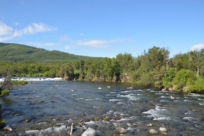 Scenic view of river against sky
